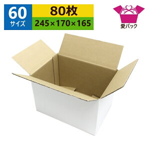 _{[ i{[ 60TCY  (245×170×165) (n×80)  { _{[ i{[ p ʔ̗p p z p lbgVbv I[NV t}Av z 