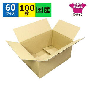 _{[ i{[ B6 60TCY (263×189×139) 100  { _{[ i{[  [  p   { z z60 z z t}Av {bNX 