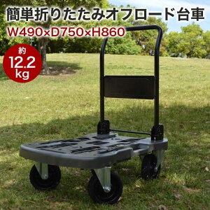 y25OFFN[|F1920`25zCOLLEND It[h 49 s75 86 I[uhu ωח100kg ܂肽 ^  O ב AEghA W[ Lv h ORT-OD