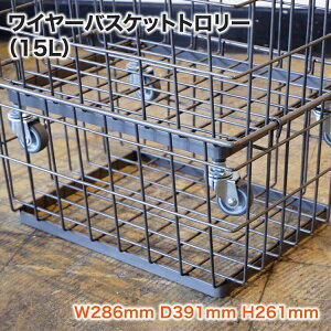 y15OFFN[|F}\zCOLLEND C[oXPbgg[i15Lj 286mm s391mm 261mm | CeAG pi G ֗ObY H  Ƌ [ Lb`[ H