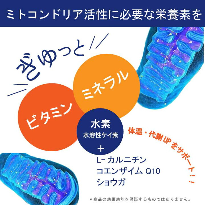楽天市場】【10％OFFクーポン：4日〜12日限定】37℃ サプリメント公式 