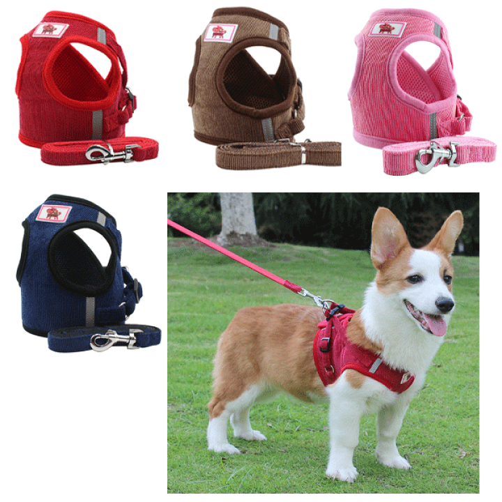 Peruvian Red スペイン製 高級犬用リード(2m) （小型犬　中型犬） スペイン製 高級犬用首輪(M)とリード（最大2m) Peruvian Pikes