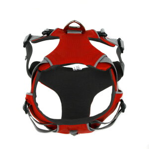  n[lX Ď\tg   Ck hbO dog ^ ^@^@p ybgp  U o ȒP@[֑