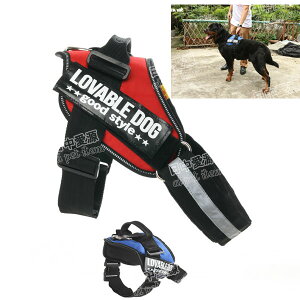  n[lX ^ ^  p  35`91cmyp[n[lXzhbOEFAEE EpցEn[lX[hEyyΉz