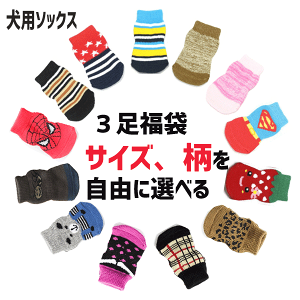 C lR|X[֑ \bNX 3 ~ St  nC\bNX O\bNX ^ ^ ^@S-XL 1Zbg4