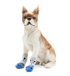 犬 靴下 ゴムの人気商品 通販 価格比較 価格 Com 犬 靴下 ゴムの人気商品 通販 価格比較 価格 Com