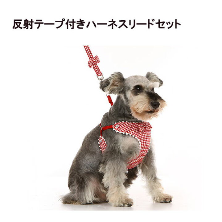 小型犬 犬 ハーネス 秋冬 おしゃれ フォーマル かっこいい 胴輪 ゴージャス ボディー ボタン留め 背中開き D字リング グレー 白 サイズ リード付き セレブ Doggydolly Dcl142 チワワ ヨークシャテリア ポメラニアン トイプードル 犬服 柴犬コウタのハッピィショップ