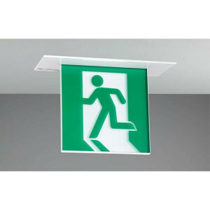 (�󒍐��Y�i) ���{�̂̂݁E�p�l���ʔ��� �U�����{�� FBK-20722-LS17 B��BL�V�䖄�����ʗU���� ���Ń��C�e�b�N