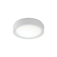 防雨型LEDシーリング 非常灯 階段灯 昼白色 天井直付型 NWCF16100LE1 パナソニック (NWCF11100CLE1後継機…