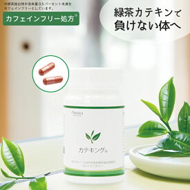 カテキング98 (30粒入り/30日分) 茶カテキン カフェインフリー エピガロカテキン ガレート型緑茶ポリフェノール 緑茶エキス EGCG 高濃度配合 お茶 カテキン ポリフェノール 1日1粒 健康 美容 日本製 国産 アイナチュラプレミアム
