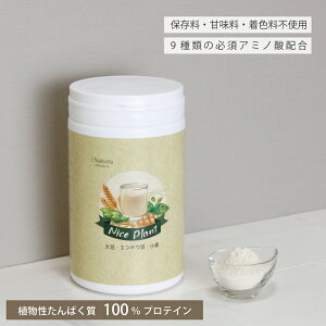 iCXvg (450g) A ς 哤 GhE ^pN i` Vv veC _CGbg ᓜ J[ Ösgp K{A~m_ v[^Cv Ɏg