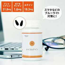 ナイスルテイン (100粒入り/約33日分) ルテイン カロテノイド ポリフェノール アントシアニン ゼアキサンチン α-リノレン酸 DHA ビタミンE マリーゴールド β-カロテン リコペン リコピン ビルベリー ブルーライト対策 日本製 国産 アイナチュラプレミアム