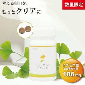 ギンコナイス（イチョウ葉） (60粒入り/30日分) サプリメント いちょう葉 サプリ フラボノイド テルペンラクトン すっきり クリア 日本製 国産 アイナチュラプレミアム