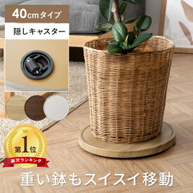 ホームキャリー 平台車 おしゃれ キャリーカート プランタブル 観葉植物 植木鉢台 花台 台車 軽量 コンパクト ゴミ箱 家庭用 隙間収納 キャスター付き プランタースタンド 鉢皿 プランタートレー