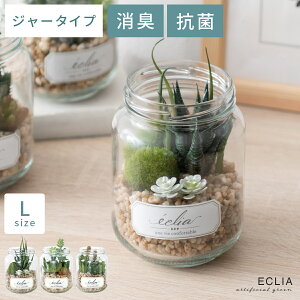 観葉植物 人工観葉植物 人工植物 人工 植物 消臭 抗菌 水やり不要 グリーン 緑 お手入れ不要 アンティーク 枯れない おしゃれ かわいい 人気 フェイクグリーン CT触媒 ナチュラル 北欧