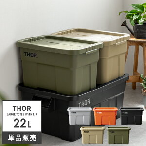 y5OFFN[|zzz [{bNX Rei IV Rei{bNX t^t  ӂt Wt vX`bN boxRei 22L AEghA x_ O  Thor Large Totes Wit