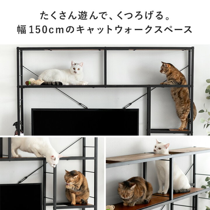 楽天市場】猫 キャット 猫用品 猫用 キャットラック キャットタワー 