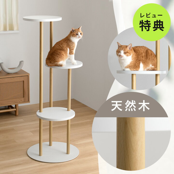 楽天市場】キャットタワー 木製 据え置き 多頭飼い スリム 大型猫 猫 