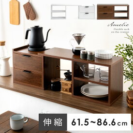 【先着5名様限定！50％OFFクーポン配布中】 カウンター上収納 ラック 両面開閉 キッチンラック キッチン収納 伸縮ラック 収納 おしゃれ 収納棚 カウンター上ラック 調味料ラック 食器棚 シンプル 便利 台所用品 可動棚 伸縮キッチンカウンター上収納 Amerie〔アメリ〕