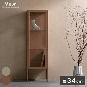 スチールラック ディスプレイラック ラック 棚 キャビネット コレクションラック 奥行30 幅34 おしゃれ ガラス扉 ガラス棚 スチール製 マットスチール 強化ガラス ショップ オフィス 事務所