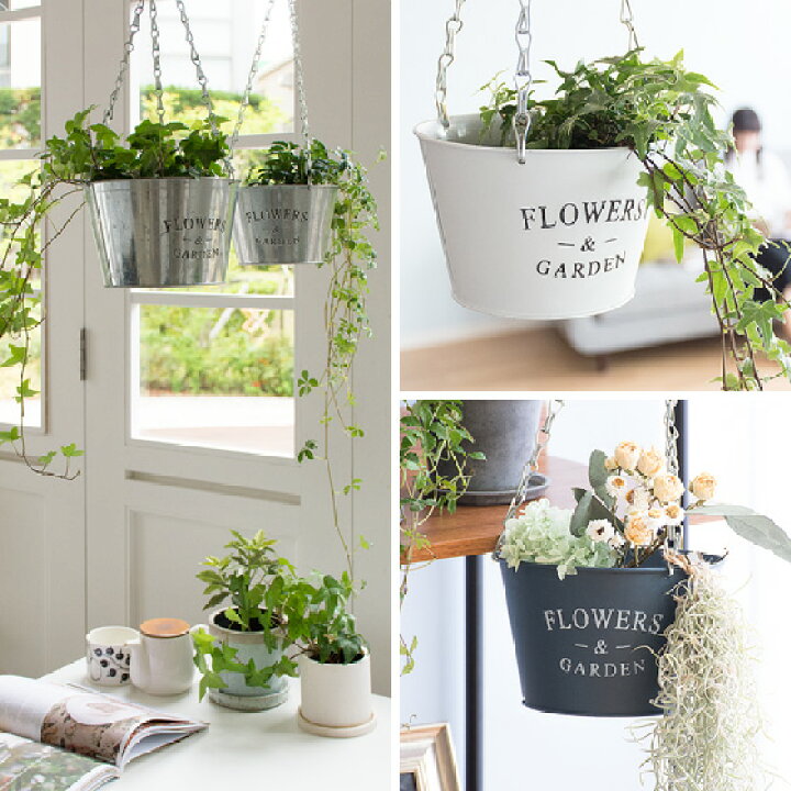 楽天市場 クーポン配布中 プランター ハンギング フック ポット 吊り下げ ガーデニング 鉢カバー おしゃれ アンティーク 西海岸 ブリキ バケツ 植木鉢 植木カバー フラワーポット ブルックリン インテリア 吊下げ式 フラワープラント Sサイズ ネイビー ホワイト 楽天市場 クーポン配布中 プランター ハンギング フック ポット 吊り下げ ガーデニング 鉢カバー おしゃれ アンティーク 西海岸 ブリキ バケツ 植木鉢 植木カバー フラワーポット ブルックリン インテリア 吊下げ式 フラワープラント Sサイズ ネイビー ホワイト