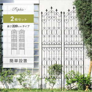 ACA tFX K[fjO ډB  Vv X`[ AeB[N 220cm 2g eBX  O K[f A  KN o  ACAtFXSophiei\tB[j