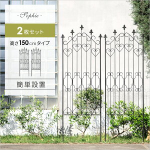 ySi5OFFN[|zzz ACA tFX K[fjO ډB  Vv X`[ AeB[N 150cm 2g eBX  O K[f A  KN o  AC