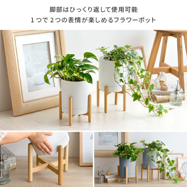 楽天市場】【最大10％OFFクーポン配布中＆4/5限定！全商品P5倍 
