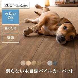 【クーポン配布中】 カーペット おしゃれ 洗える ペット 抗菌 北欧 リビング 犬 猫 ペット用 ラグ マット タイルカーペット 絨毯 じゅうたん 木目 防炎 低ホルムアルデヒド 床暖房対応 ヴィンテージ モダン らぐ 滑らないフローリング調パイルカーペット 200×250cm