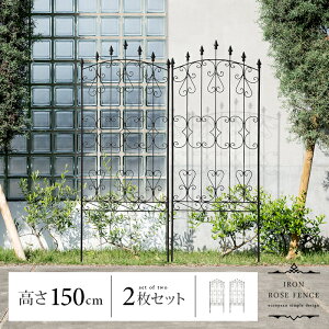 y5OFFN[|zzz ACA tFX K[fjO ډB  Vv X`[ AeB[N 150cm 2g eBX  O K[f A  KN o  ACA