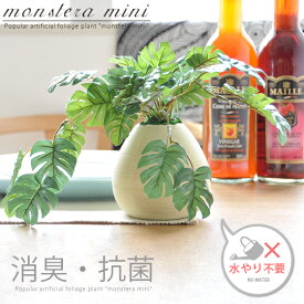 【20％OFFクーポン配布中】 光触媒 観葉植物 フェイクグリーン モンステラ ミニ 人工観葉植物 造花 V-CAT光触媒 インテリア 人工 おしゃれ かわいい 人気 お手入れ不要 消臭 抗菌 防汚 卓上 植物 プレゼント ギフト 光触媒人工植物 MONSTERA mini (モンステラミニ)