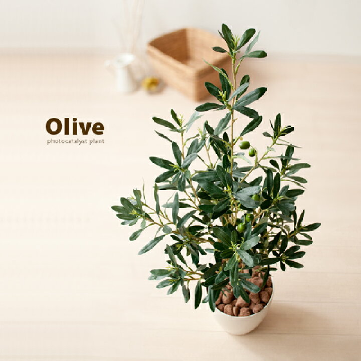 楽天市場 観葉植物 フェイク 光触媒 人工植物 造花 オリーブ V Cat光触媒 90cm 人工 フェイクグリーン 消臭 抗菌 防汚 ホルムアルデヒド分解 枯れない 水やり不要 人工観葉植物 グリーン インテリア 光触媒人工植物 オリーブ エア リゾーム インテリア