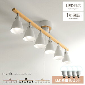 y24ԌIP3{z V[OCg X|bgCg rO Ɩ  ԐڏƖ y_gCg LED k VƖ _ C JtF rOp ԗp _CjOp H