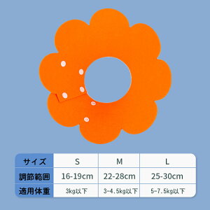 200~OFF GUxXJ[ Lp p y p ی  pEFA 畆a rߖh~   L \tg Lbg hbO ybgpi ybgObY  t[ {^ n 