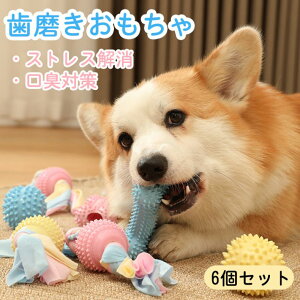 200円OFF割引中 【6個セット】犬用 歯磨き おもちゃ しっかり噛む 磨牙おもちゃ 噛むおもちゃ ゴムガム 耐噛性 耐久性 ボール型 ペット 運動 防止家具破壊 ストレス解消 口臭対策 口腔ケア 消