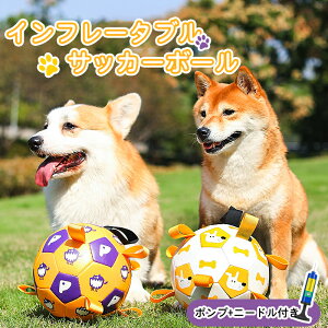 y|v+j[htzybg  {[  Ct[^u TbJ[{[ y [\ ϋv O V  ^s ^ XgX ĎĂ C^NV