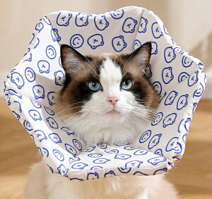 10%OFF GUxXJ[ Lp p y p ی  pEFA 畆a rߖh~   L \tg Lbg hbO ybgpi ybgObY _炩 X|W {^ n 