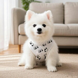 200~OFF tėp  p_  ybgp TXy_[ L~\[ ^Ngbv Lp ybgm EȒP 킢 ʋC hbOEFA lREFA ^ ^ ^ ybgp