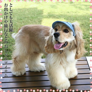 10%OFF ybgpi nbg Lp p Xq ybg lC@ڂ Lbv Εt  lC t  ăoe ˕ah~ 悯   ^L ^  JCC AE