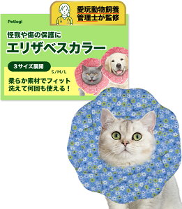 GUxXJ[ L  TCY߉\  h z rߖh~ Dp p y _炩