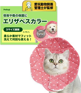 GUxXJ[ L  TCY߉\  h z rߖh~ Dp p y _炩