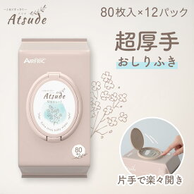 AIRFRIC おしりふき 厚手 大判 純水 99％ 新生児 赤ちゃん ベビー 無添加 無香料 ノンアルコール エンボス加工 蓋つき 水分多め やわらか 出産準備 出産祝い 大容量 まとめ買い 80枚入り×12個（960枚）WT001