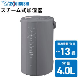 【あんしん延長保証選べます】象印（ZOJIRUSHI） スチーム式加湿器 グレー EE-DF50-HA 加熱式加湿器 加湿器 スチーム式加湿器 加湿器 スチーム ボイル式 チャイルドロック お手入れ簡単 フッ素加工 広口内容器 フィルター不要 象印 加湿器