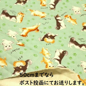 yLeBOnzLeBO   lR ˂ ƔL  邢ΐF Q|283 ̎q w bXobN YbN zc g[gobN Lg n Lgn ~ J