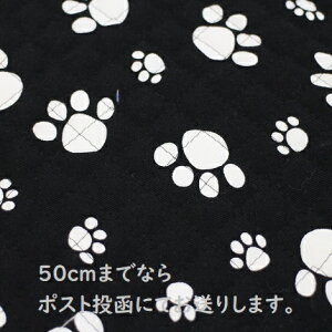 yLeBOnzLeBO    ×F Q|15 ̎q j̎q w bXobN YbN zc g[gobN ~ Jo Lg n LeBOn 