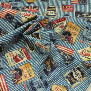 yIbNXnzXgCv ^O fj  p iXF C22-123 w j̎q q n z  JbRCC  Jo Gv NbV В n t@ubN 10cmP