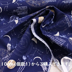 yIbNXnzF F  FXe[V zXR[v F c21|15 w j̎q  Jo q  JbRCC В n z t@ubN 10cmP ؂蔄