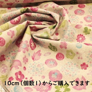 yȖnzȖn  t ԕ  sNn L22-30 Ȗ n z Vv  |[` Jo obN  A J[e fBXvC ~ t@ubN 10cmP ؂蔄