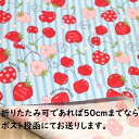 【ラミネート生地】ラミネート生地 ストライプ イチゴ いちご リンゴ りんご サクランボ 薄いスカイ 水色 R－280 女の子 入園入学 子供 ラミネート 生地 布 かわいい 可愛い シンプル ランチョンマット ビニールコーティング 防水 防水布 雨に強い 防水生地 水を弾く 切売り
