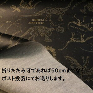 y~l[gnz~l[gn JbR ̍  F×炵F R[124Ȃ j̎q w Jo q  Jo bN `}bg rj[